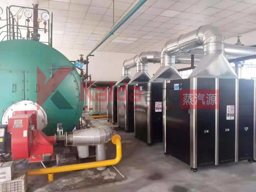 真低氮选凯大 食品厂4台1t超低氮变频蒸汽源机组完美替换4t传统燃气锅炉及防雷箱应用